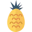 Pineapple ícono 64x64