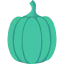 Capsicum ícono 64x64