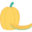 Pumpkin icon 64x64
