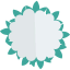 Cauliflower icon 64x64