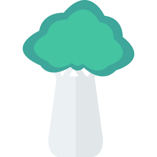 Broccoli icon