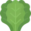 Kale icon 64x64