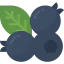 Blueberry 상 64x64