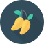 Mango icon 64x64