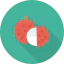 Lychee icon 64x64
