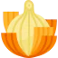 Onion icon 64x64