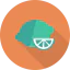 Lime icon 64x64