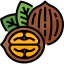Walnut icon 64x64