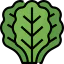Kale 图标 64x64