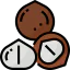 Macadamia nut icon 64x64
