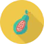 Papaya icon 64x64