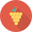 Grapes icon 64x64