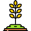 Wheat icon 64x64