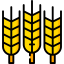 Wheat icon 64x64