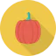 Pumpkins ícono 64x64