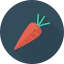 Carrot icon 64x64
