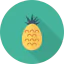 Pineapple icon 64x64