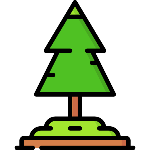 Pine icon