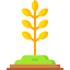 Wheat icon 64x64