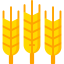 Wheat icon 64x64