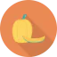 Pumpkin icon 64x64