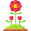 Flower icon 64x64