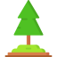 Pine icon 64x64