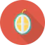 Lychee icon 64x64