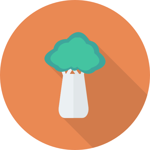 Broccoli icon