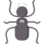 Ant icon 64x64