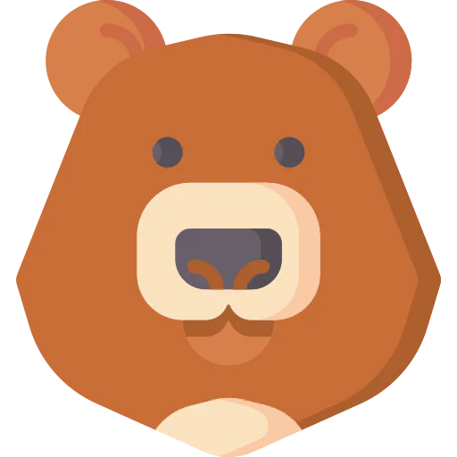 Bear icon