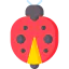 Ladybug icon 64x64