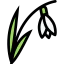 Daffodil icon 64x64