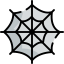 Spider web icon 64x64