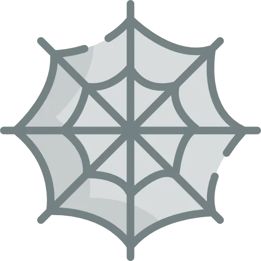 Spider web icon