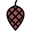 Pine nut icon 64x64