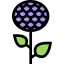 Flower icon 64x64