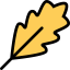 Leaf icon 64x64
