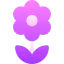 Flower icon 64x64