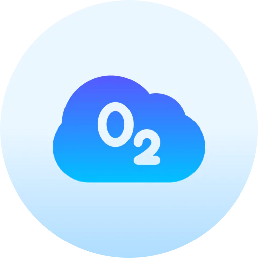 O2 图标