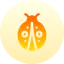 Ladybug 상 64x64