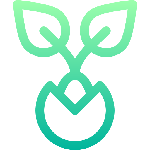 Seed 상