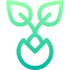 Seed icon 64x64