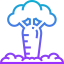 Baobab icon 64x64