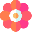 Flower icon 64x64