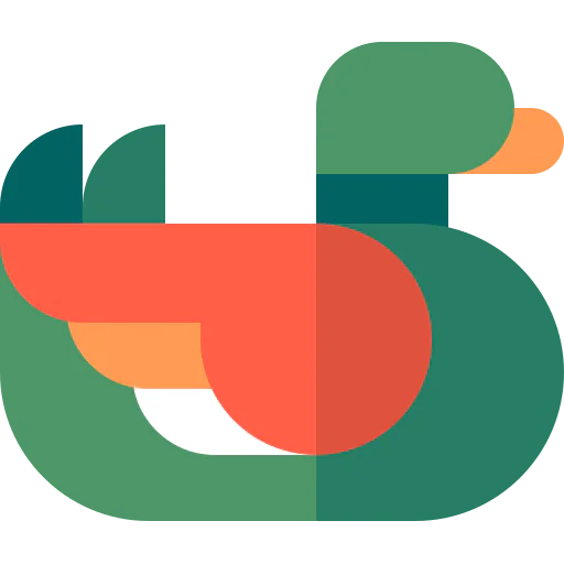 Duck icône