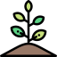 Sprout icon 64x64
