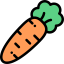 Carrot icon 64x64