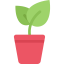 Sprout icon 64x64