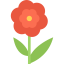 Flower icon 64x64